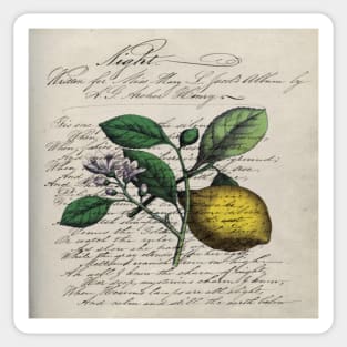 dark academia vintage Mediterranean fruit orchard citrus blossom yellow lemon Sticker